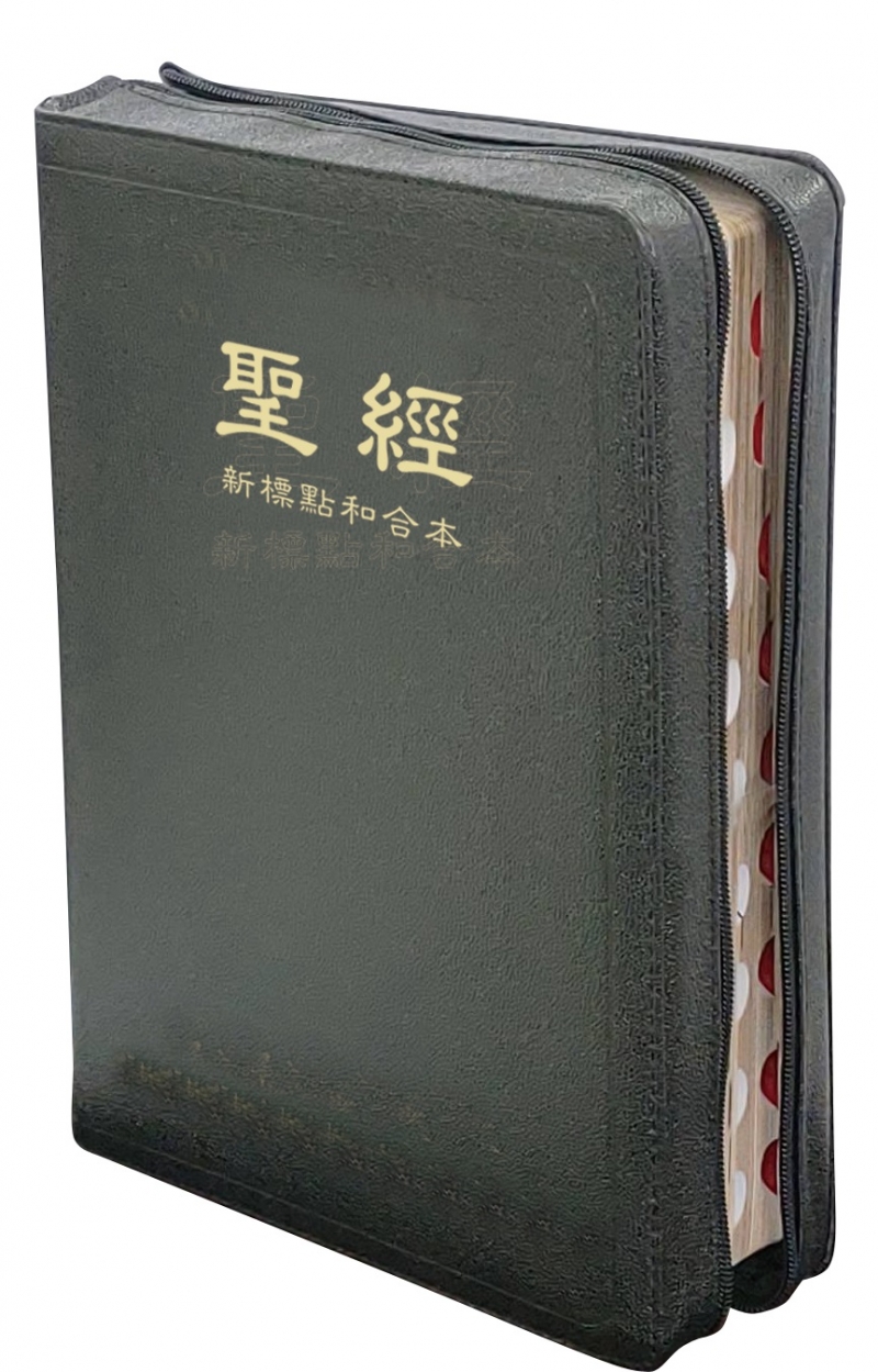 聖經/CUNPCS87AZTIFIB/新標點和合本橫排大字版--神版皮面金邊索引