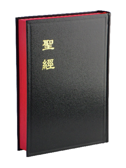 聖經/CU63A/和合本/神版公用聖經