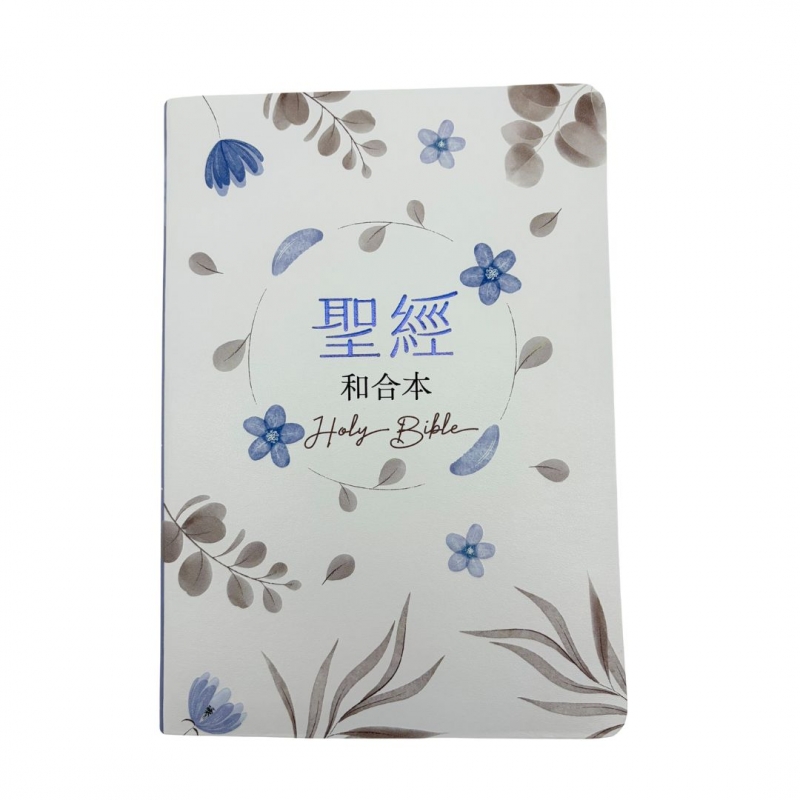 聖經/SR77ATTI4.603/(粉藍)橫排彩繪皮面索引紅字雙色版