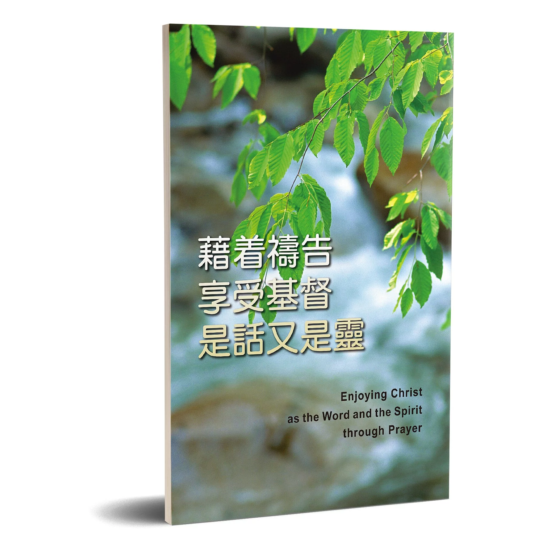 藉著禱告享受基督是話又是靈