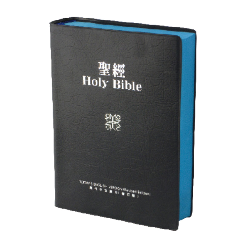 現代中英對照中型膠皮TEV/TCV52DIBU
